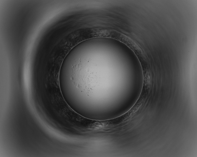 X0000095930764200801111255