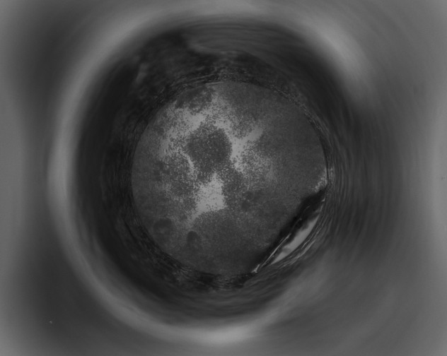 X0000095930765200801111255