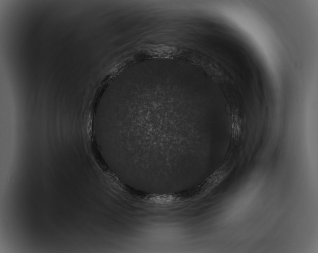 X0000095930767200801111255