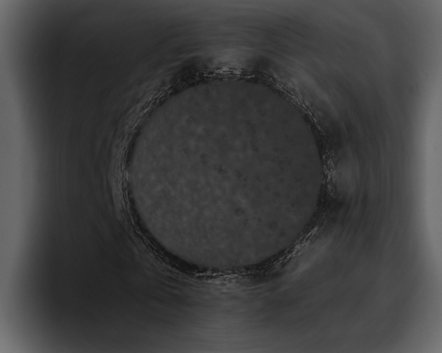 X0000095930769200801111254