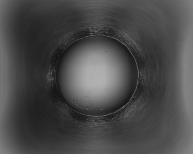 X0000095930770200801111254