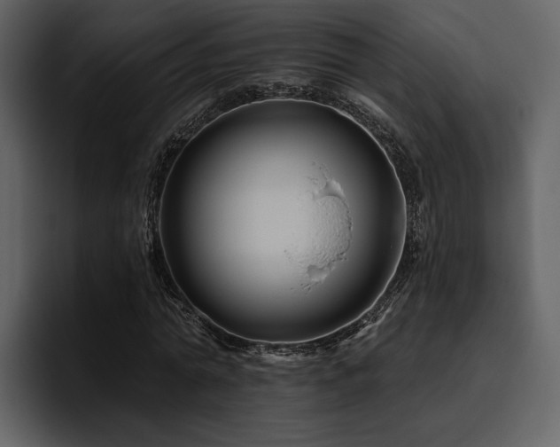 X0000095930774200801111254