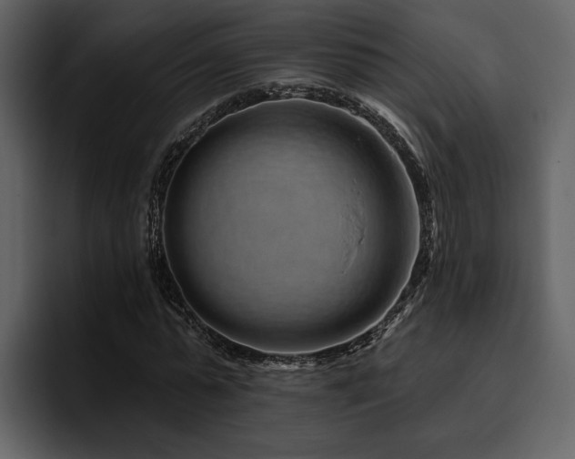 X0000095930775200801111254