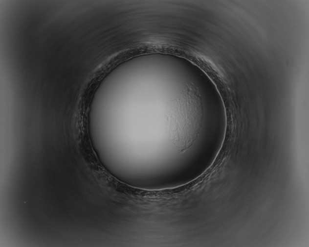 X0000095930776200801111254