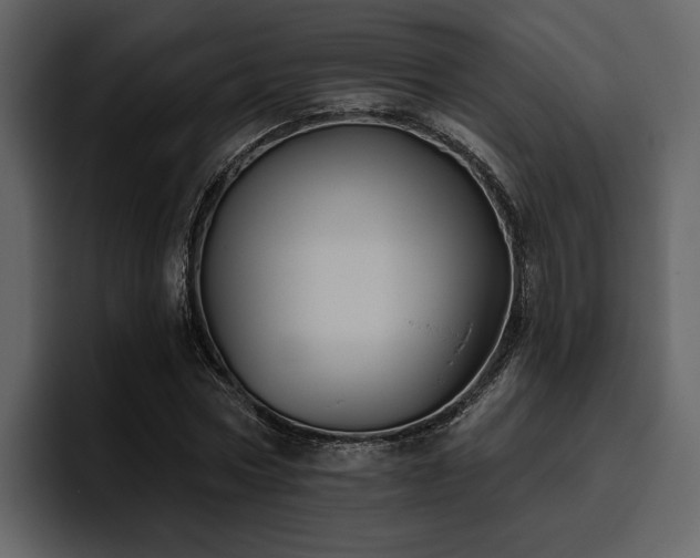 X0000095930778200801111254