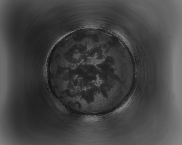 X0000095930779200801111254
