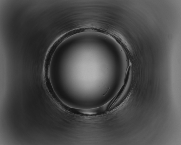 X0000095930780200801111254