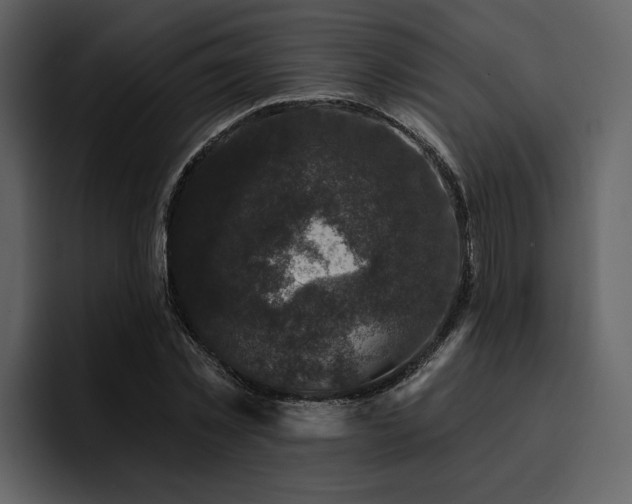 X0000095930781200801111254