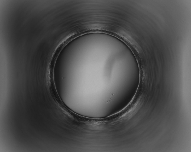 X0000095930782200801111254