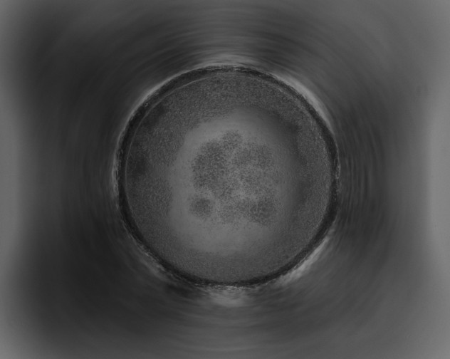 X0000095930783200801111254