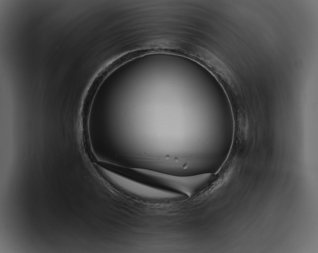 X0000095930784200801111254