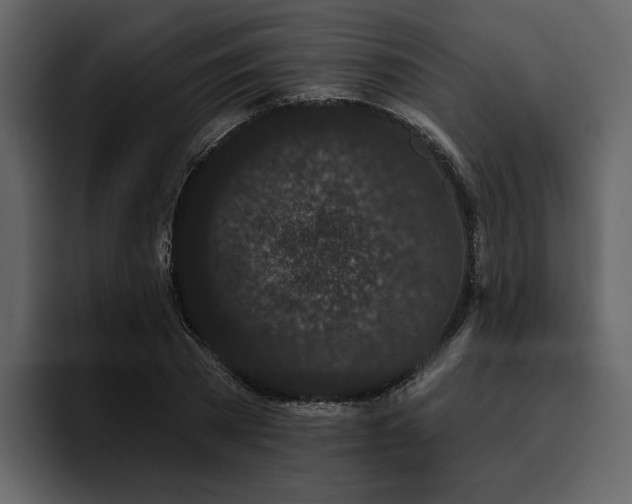 X0000095930785200801111254
