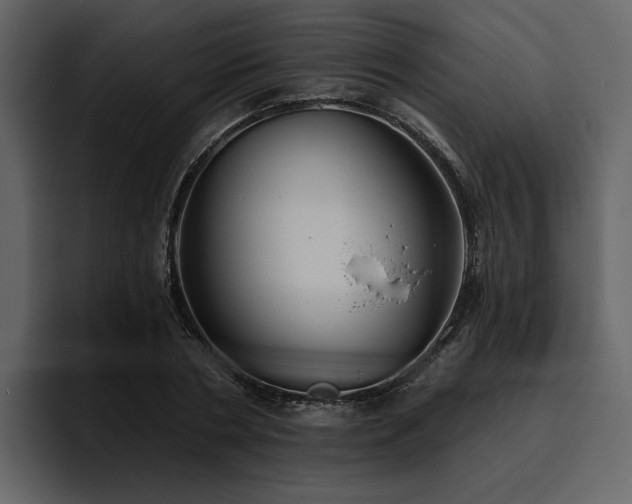 X0000095930786200801111254