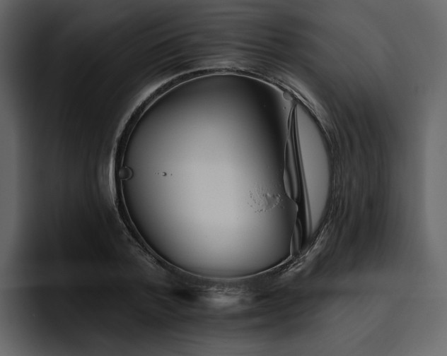 X0000095930788200801111254