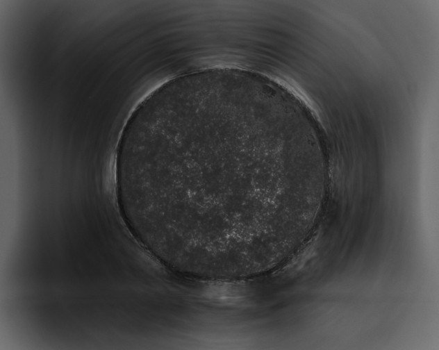 X0000095930790200801111254