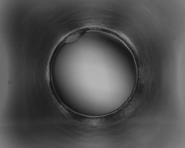 X0000095930791200801111254