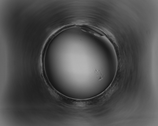X0000095930792200801111254