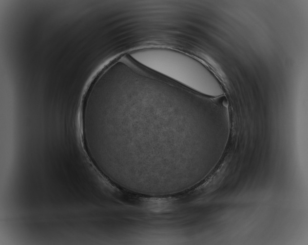 X0000095930796200801111254