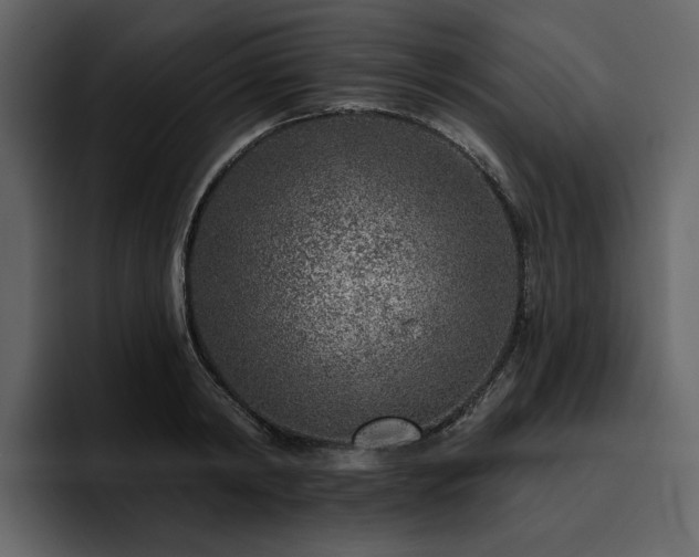 X0000095930798200801111254