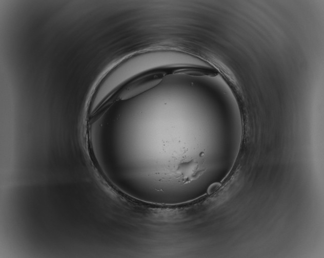 X0000095930800200801111254