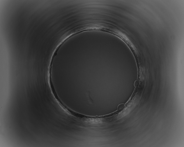 X0000095930802200801111254