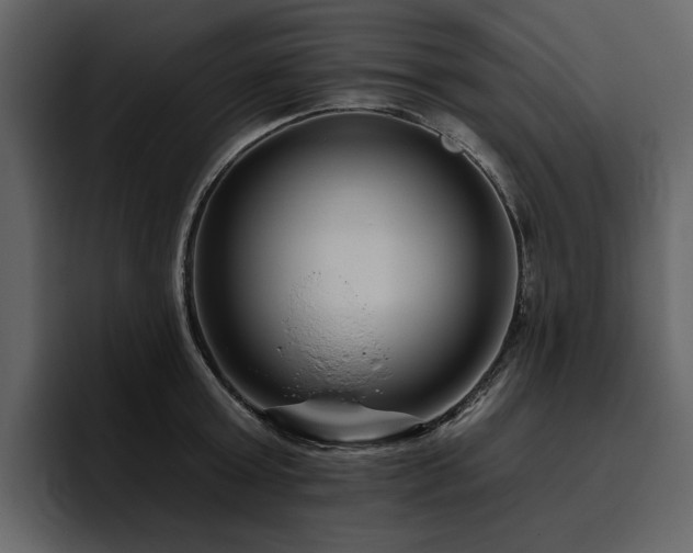 X0000095930803200801111254