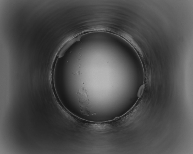 X0000095930805200801111254
