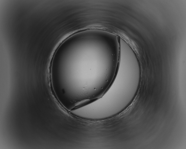 X0000095930808200801111254
