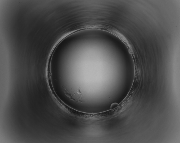 X0000095930811200801111254