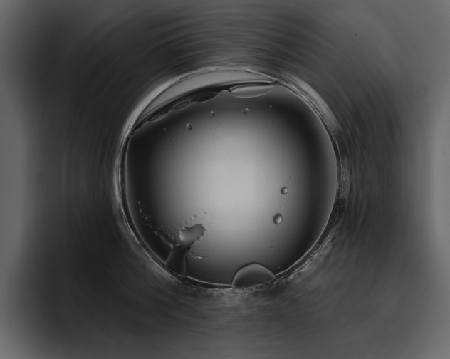 X0000095930812200801111254