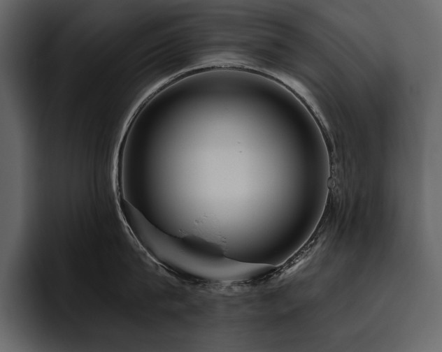 X0000095930815200801111254