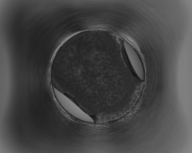 X0000095930816200801111254