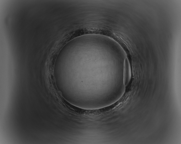 X0000095930817200801111253