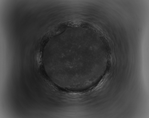 X0000095930818200801111253