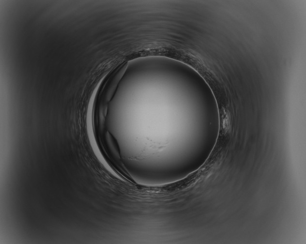 X0000095930819200801111253
