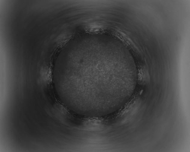 X0000095930820200801111253