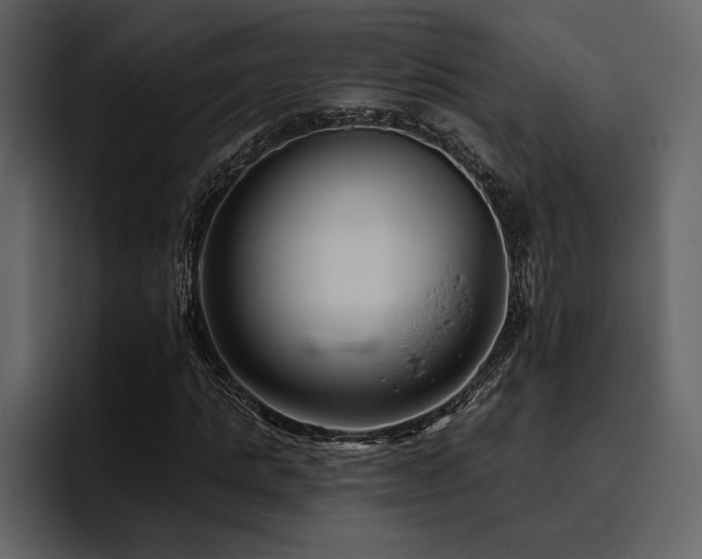 X0000095930821200801111253