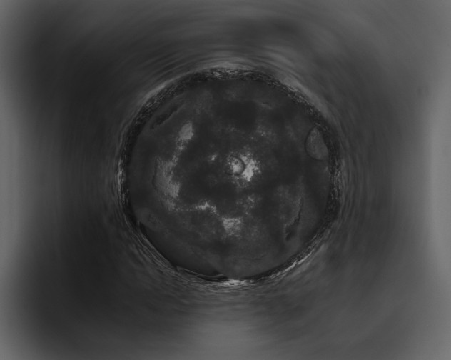 X0000095930822200801111253