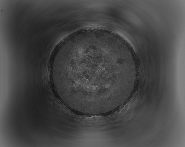 X0000095930823200801111253