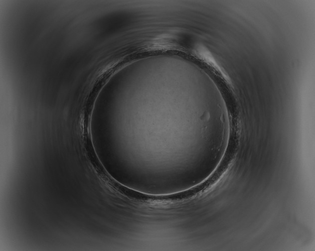 X0000095930825200801111253