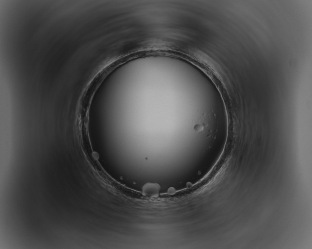 X0000095930827200801111253