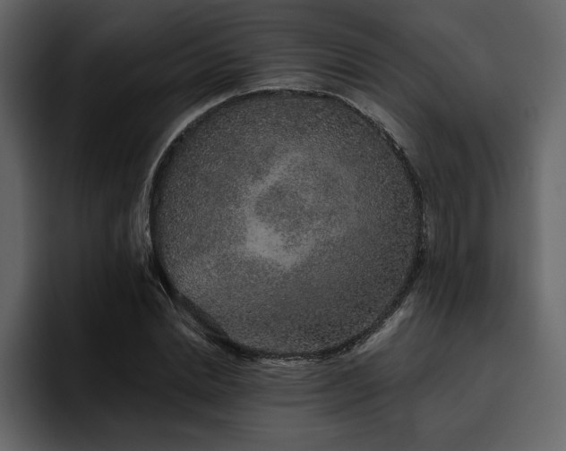 X0000095930830200801111253