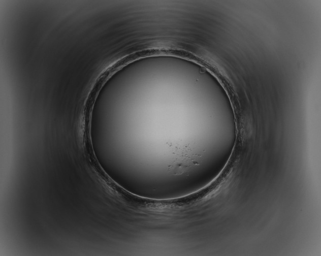 X0000095930831200801111253