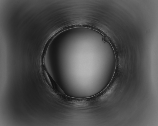 X0000095930834200801111253