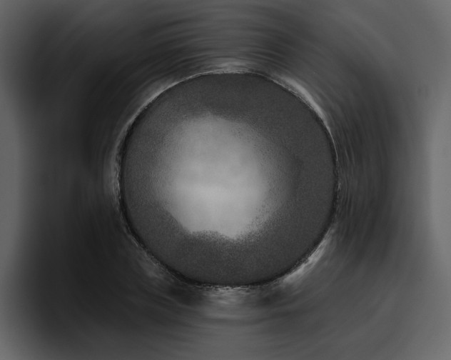 X0000095930835200801111253