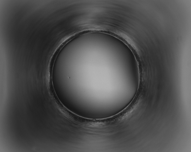 X0000095930837200801111253