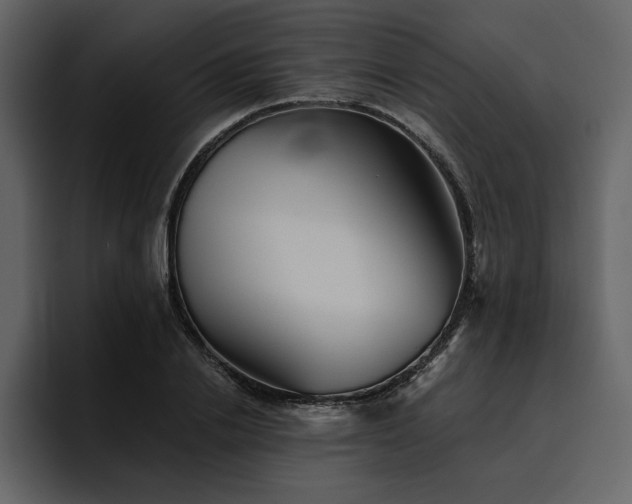 X0000095930838200801111253