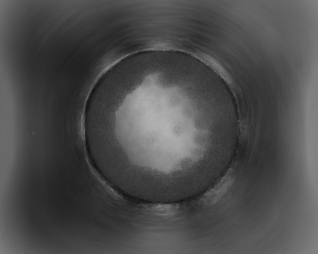 X0000095930839200801111253