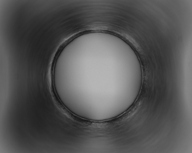X0000095930840200801111253