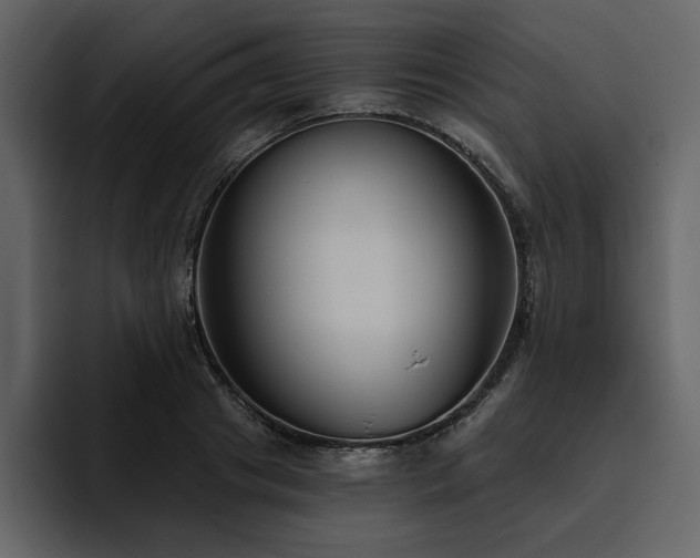 X0000095930841200801111253